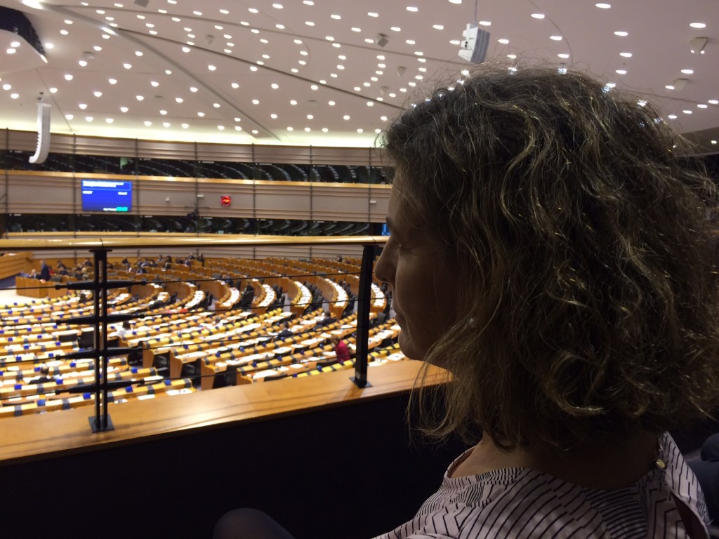 La Consejera Oregi sigue en el Parlamento Europeo el debate sobre la cumbre de París